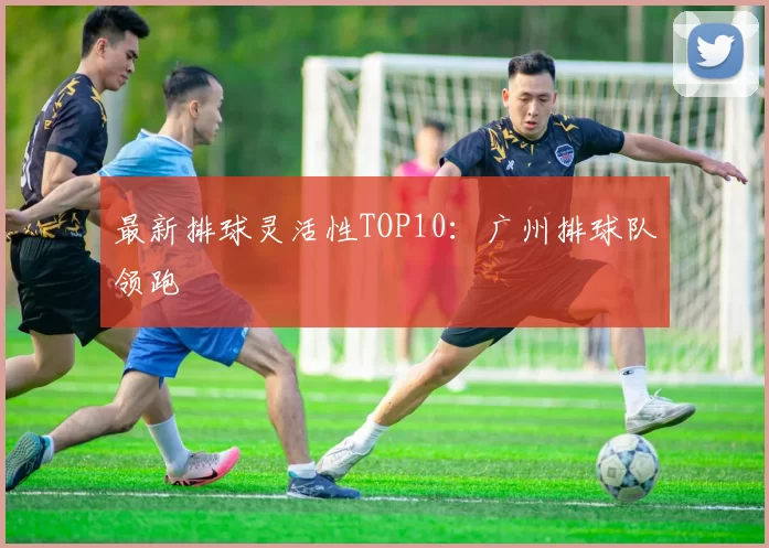 最新排球灵活性TOP10：广州排球队领跑