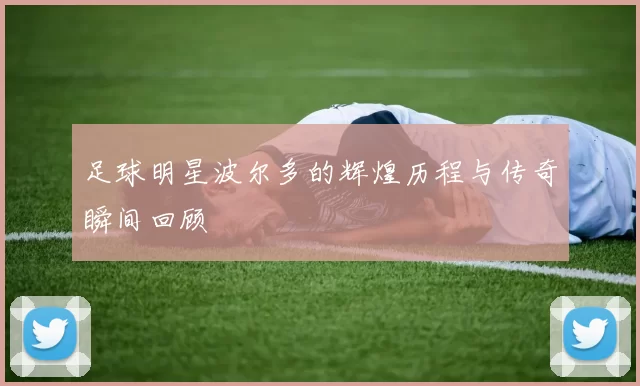 足球明星波尔多的辉煌历程与传奇瞬间回顾