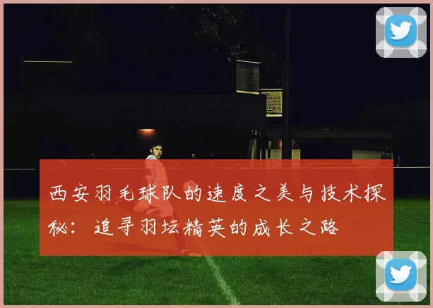 西安羽毛球队的速度之美与技术探秘：追寻羽坛精英的成长之路