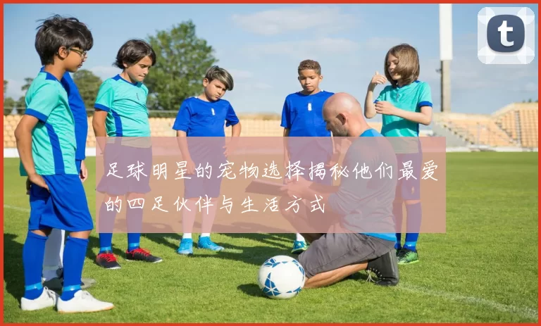 足球明星的宠物选择揭秘他们最爱的四足伙伴与生活方式