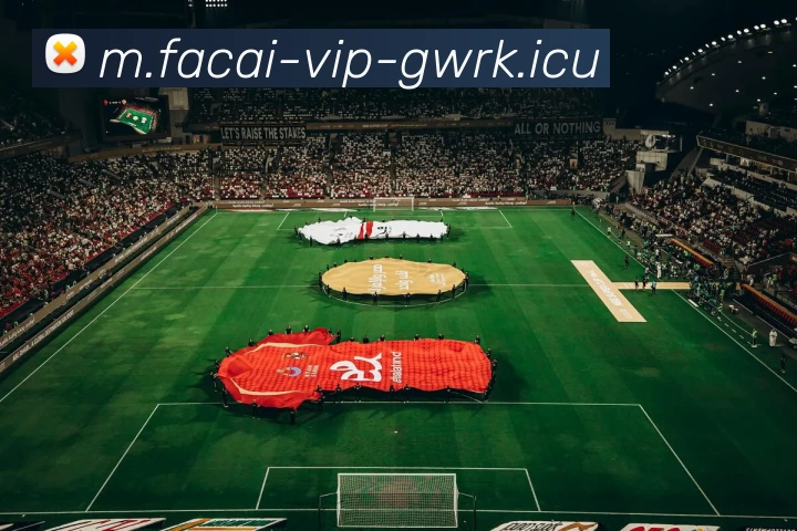 数据防护可视化